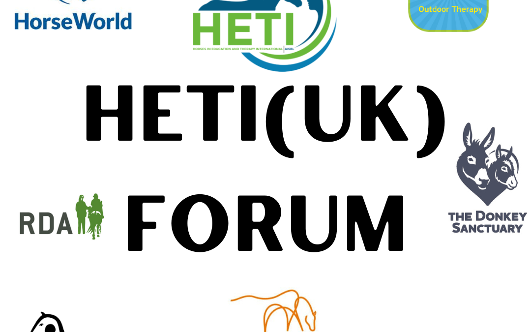 HETI(UK) Autumn Forum